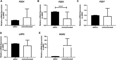 WNT5A Interacts With FZD5 and LRP5 to Regulate Proliferation and Self-Renewal of Endometrial Mesenchymal Stem-Like Cells